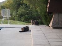 Hermes P2 tests P2130355.JPG.JPG